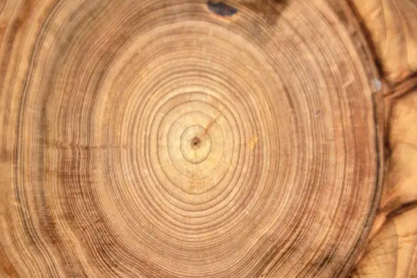 Timbers